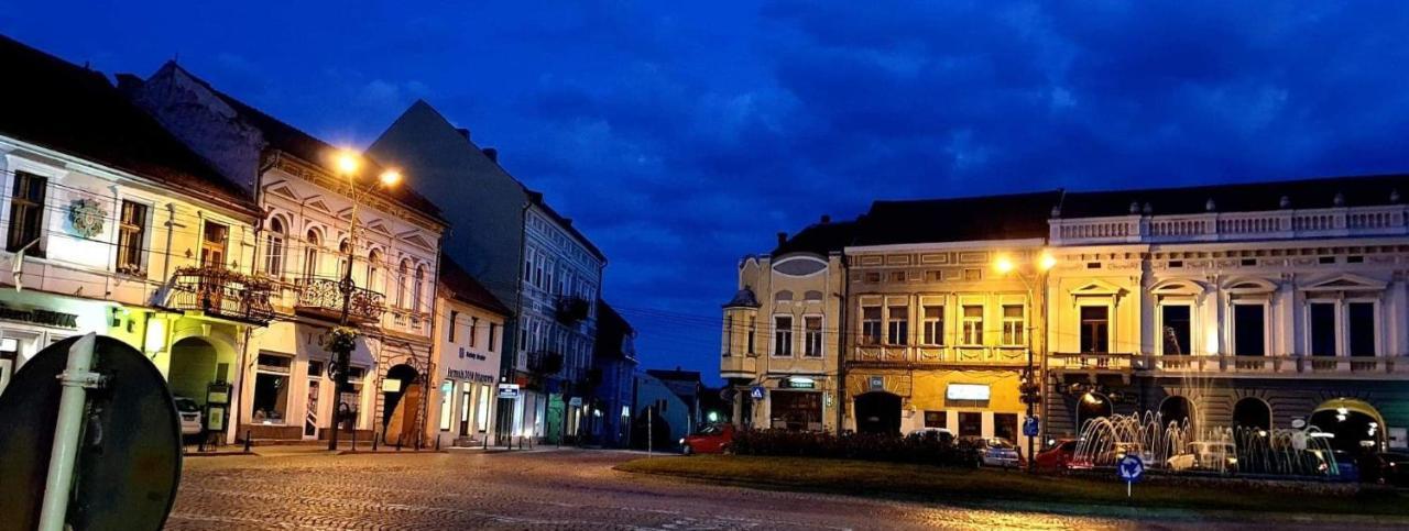 Sissy Vendeghaz Hotel Targu Secuiesc Bagian luar foto