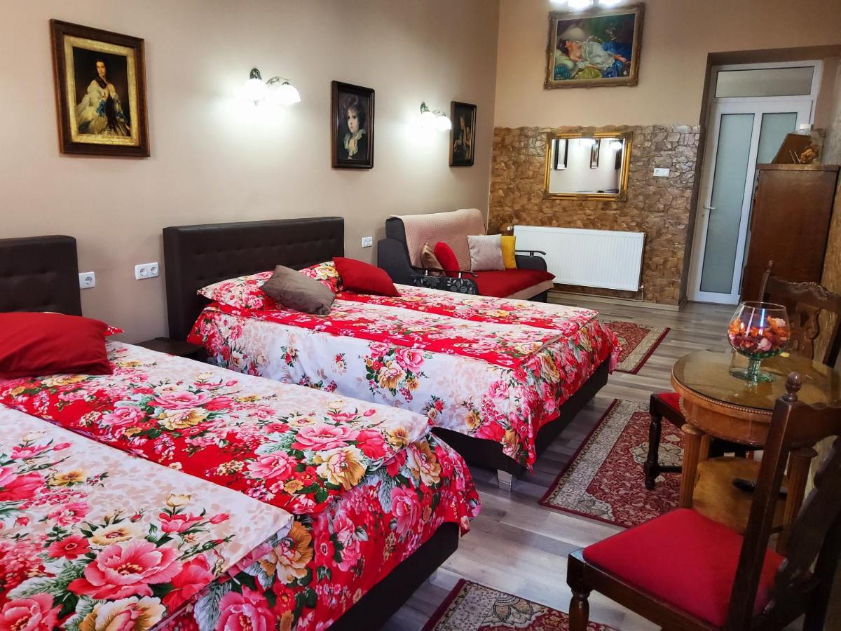 Sissy Vendeghaz Hotel Targu Secuiesc Bagian luar foto