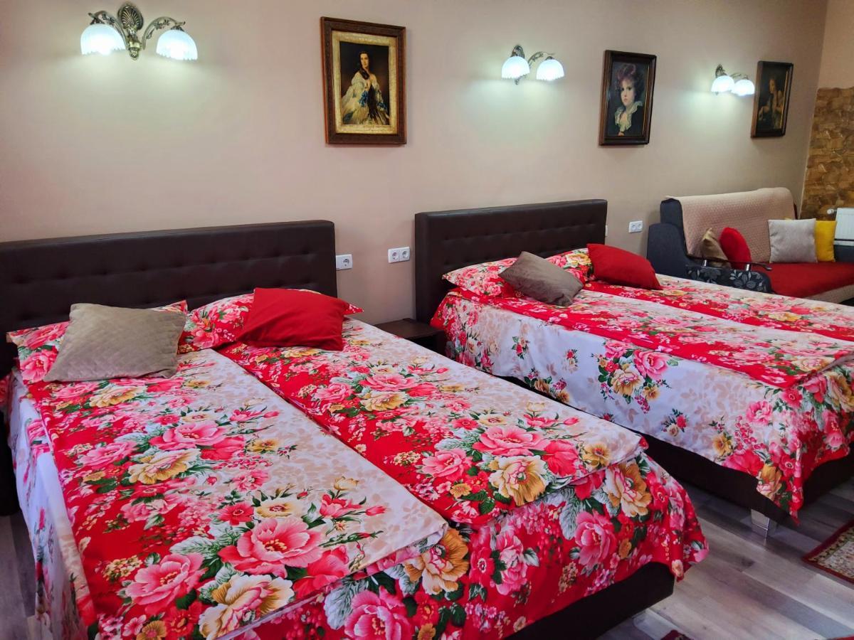 Sissy Vendeghaz Hotel Targu Secuiesc Bagian luar foto